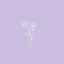 lavenderfairyyy