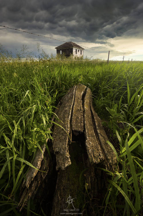 Live And Let Die by Aaron Groen camera: Canon EOS 6D