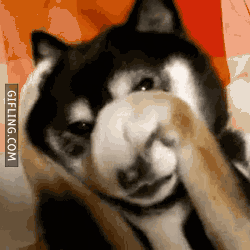 uhmeliamay:  me when someone tells me i’m cute