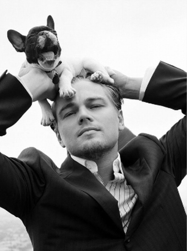 juliascheller:    Men &amp; Dogs  
