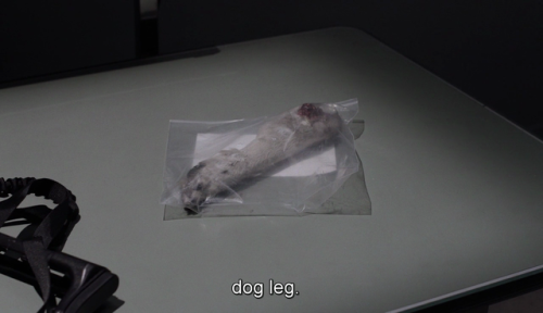 dog leg