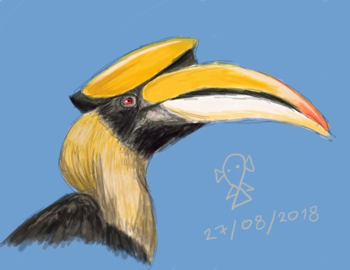 "Buceros Bicornis"