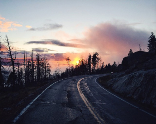 nevver:  Where I am may be lost, Jared Chambers 