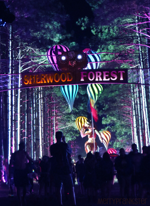 merryprankster:  Electric Forest | 2014