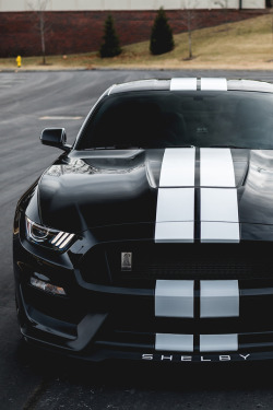 motivationsforlife:  Shelby Mustang by Sam Siddiqui