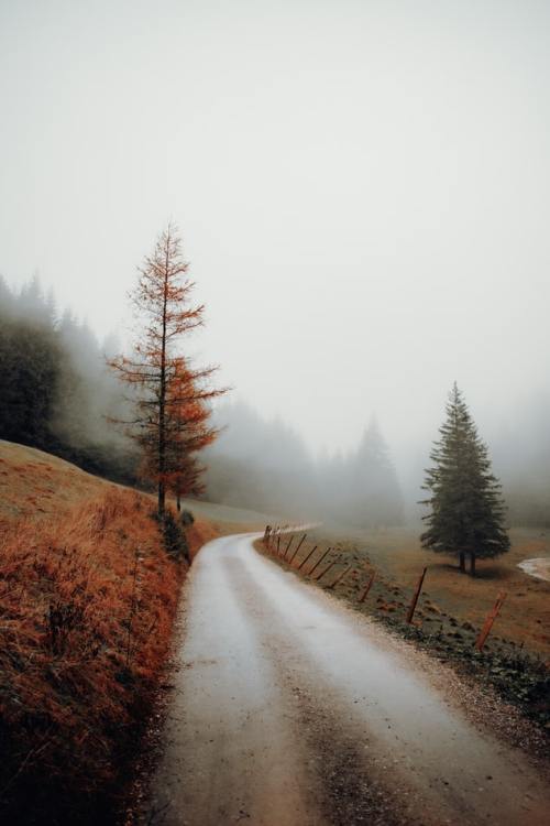 virtuallyinsane-autumn: Moody days in Austria by Daniel J. Schwarz 