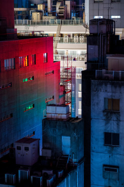 tokyostreetphoto: Bathed in Neon Light, Ginza （銀座）            Follow me on Instagram — @eyexplor  