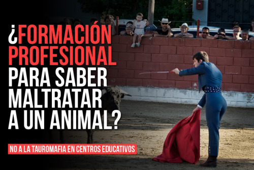 La imagen no es nuestra.