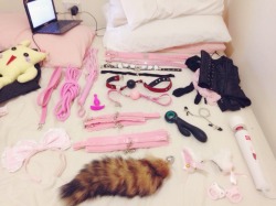 cherryxkitten:  Allll of the play thingsssss!   These are all in a bag in the corner of my room and as it gets bigger people will become more sus &gt;.  i want!!! 👑