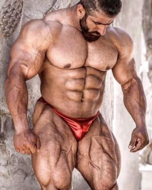 I walked around these muscle beasts, each standing still like piles of meat in the market, ready for