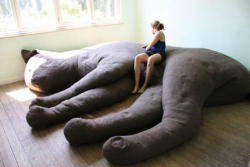 designed-for-life:  This giant sleeping cat