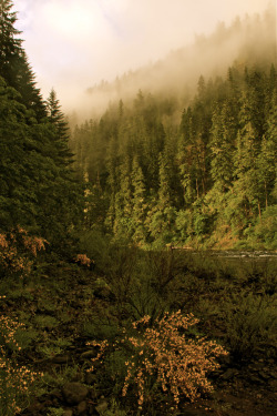 morsommen:  8:41am  .  Clackamas River,