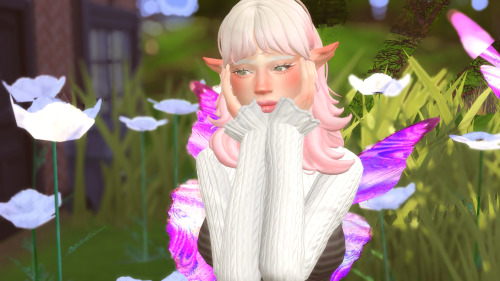 Imperfect Elf Ear Preset