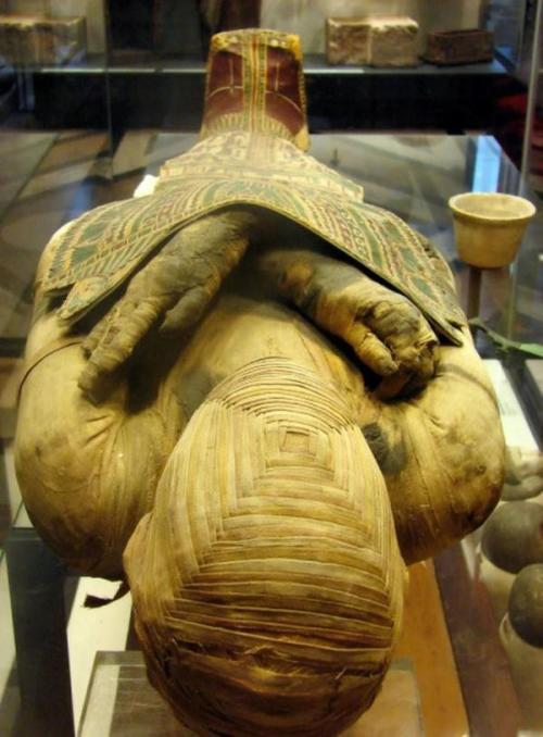 Mummy of PacheriIt is the mummy of a man about 1.65 meter tall, who lived during the Ptolemaic perio