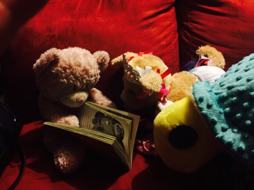 shanedog09:A stuffie reading to other stuffies. adult photos