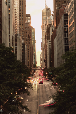 hellanne:  New York, New York (by Sunset