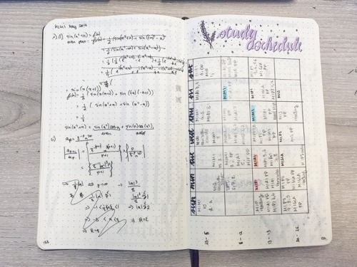 05/06/2018 My May bullet journal set up, aesthetics from Amanda RachLee! It includes some random mat