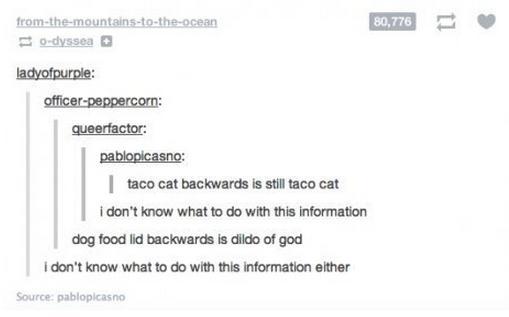 perks-of-being-chinese:  welcome to tumblr (part 4) hashtag swaggie 