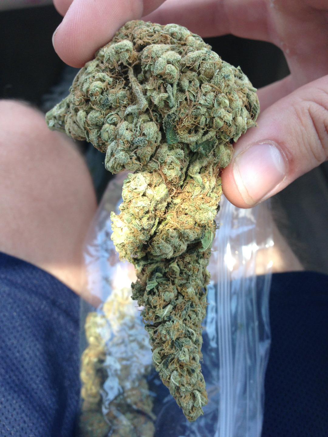 8bitjungle:  Loudd ass bud 