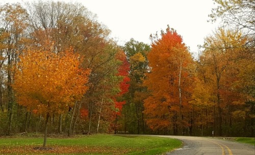 bookofoctober:Halloween colors- October 31, 2016 in Huron Charter Township, MI. Photos by MichiganSnowLvr