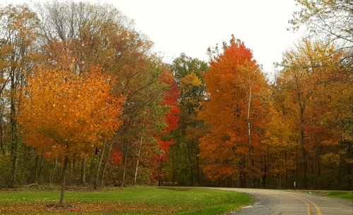 Sex bookofoctober:Halloween colors- October pictures