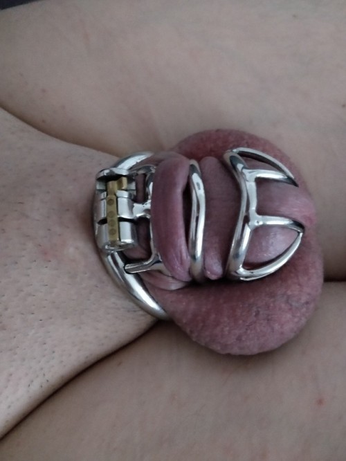 My small dicklet locked in my tiny chastity cage! GA - ...