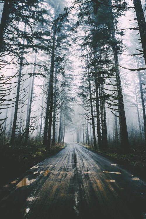 Nature — For more nature photos go to...