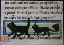 A Procession of Cats. Bodleian Library, Oxford, mid-13th century