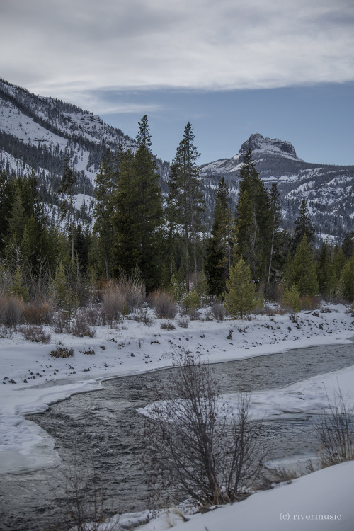 riverwindphotography:Whispering Winter Waters, Shoshone National Forest, Wyoming© riverwindphotograp