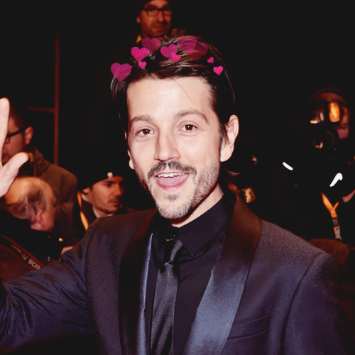 imtheviolenceintherain: ✿.｡.:* ✦:**:. Rules .:**:.✦*.:｡.✿ © like or