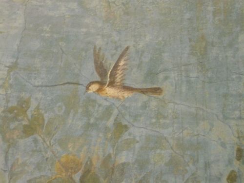 romegreeceart:Fresco detail, Livia’s Prima Porta villa* Palazzo MassimoRome, July 2015