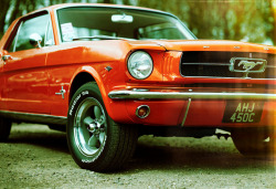 ford-mustang-generation:  Ford Mustang by pyntofmyld on Flickr.