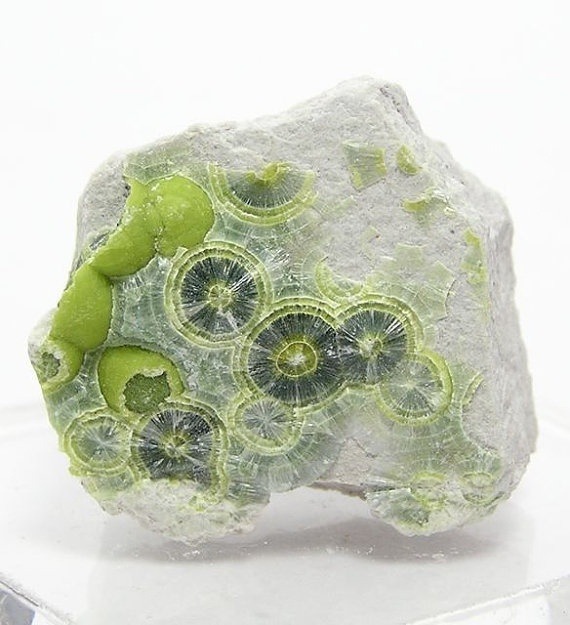 ronbeckdesigns:  Green Wavellite Radiating Crystals on Chert by FenderMinerals