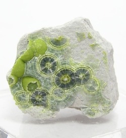 Ronbeckdesigns:  Green Wavellite Radiating Crystals On Chert By Fenderminerals