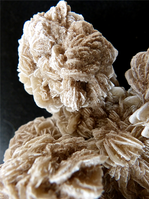 rockon-ro:GYPSUM (Calcium Sulfate) crystals, known as “desert rose”, from Ahumada Playa,