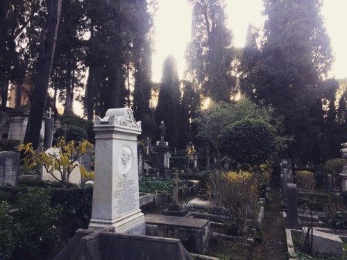 boys-say-go:Went to visit the non-catholic cemetery in Rome today, and I am in love. So much 19th ce