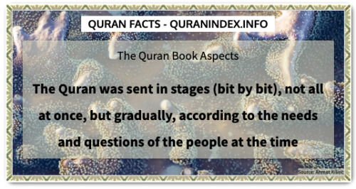 Discover Amazing, Interesting and Beautiful General Quran #Quotes and #Facts @ https://quranindex.in