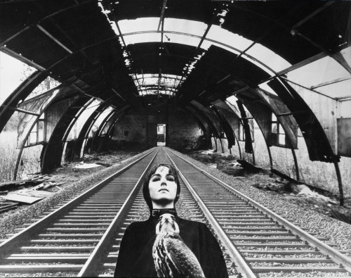 End of the line 2 by Penny Slinger, 1977(via mythologyofblue, gilliflower)