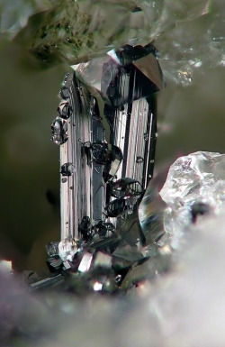 themineralogist:  Ferberite with Quartz (by