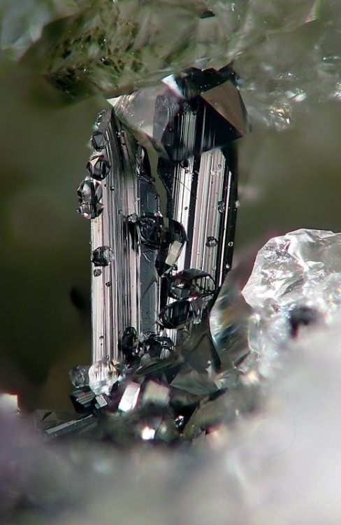 themineralogist:  Ferberite with Quartz (by smulaxx)