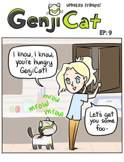genji-cat:  get back to your side sombra,