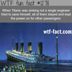 wtf-fun-facts:  Titanic facts When Titanic was sinking not a single engineer tried to save himself, all of them stayed and kept the power on for other passengers. MORE OF WTF FACTS are coming HERE Titanic histoy  and fun facts