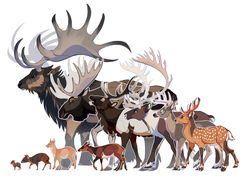 Deer Character DesignCharacter Design | Creature Design | Patreon | Ko-fi