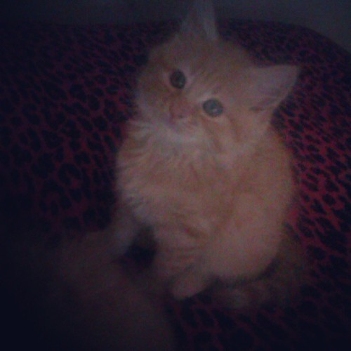 le-retour-de-la-peste:  She is so cute