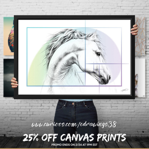 Get 25% OFF All Canvas Prints in my @curioos art shop ☞ www.curioos.com/edrawings38/promo &l