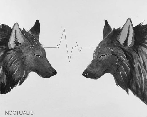 noctualis