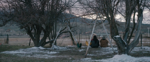 thefinalimage: Wind River | 2017 | dir. Taylor Sheridan