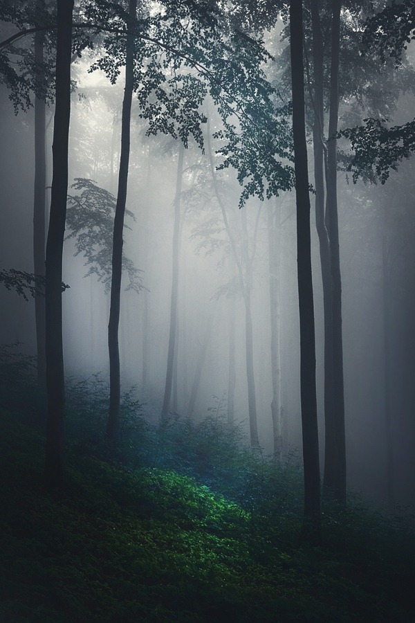 magic-spelldust: by Joanna Rzeźnikowska   