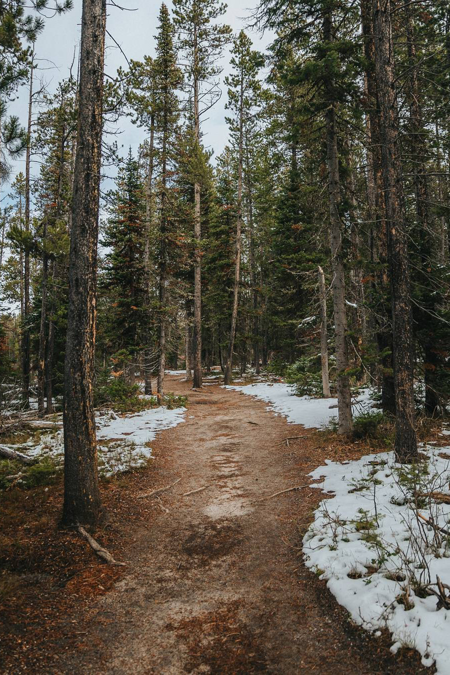 abovearth: Grand Teton National Park by Jackson Hole, WY