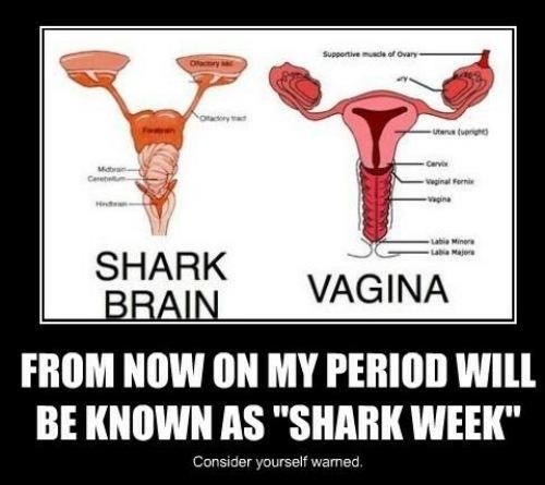 Lmao